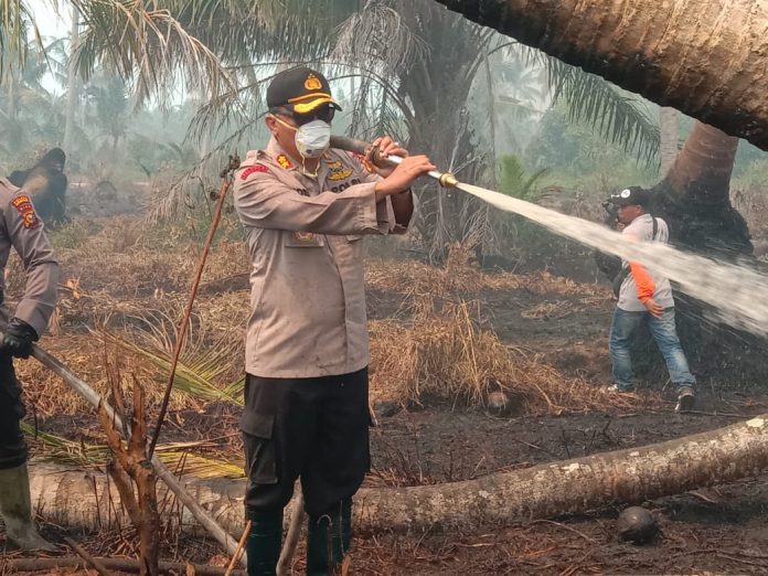 Kebakaran Hutan di Kecamatan Kateman, Kapolres Inhil Ikut Berjibaku Padamkan Api