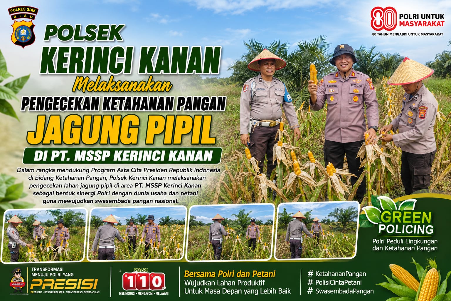 Dukung Asta Cita Ketahanan Pangan, Kapolsek Kerinci Kanan Tinjau Lahan Jagung Pipil PT MSSP