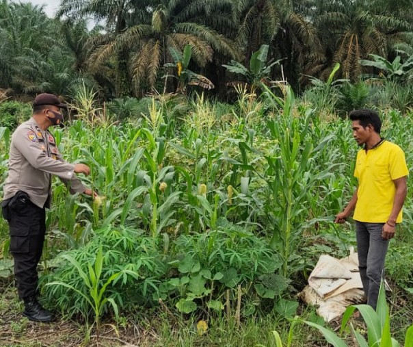 Personel Polsek Ukui Pelalawan Bersihkan Lahan Program Ketahanan Pangan