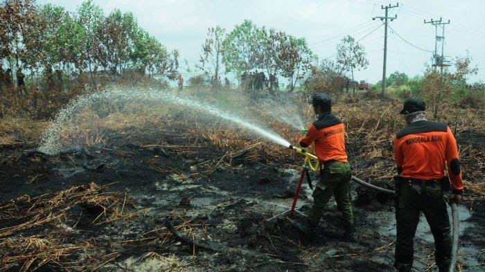 Karhutla Muncul di Desa Gambut Mutiara Teluk Meranti, Air Minim Sulitkan Pemadaman