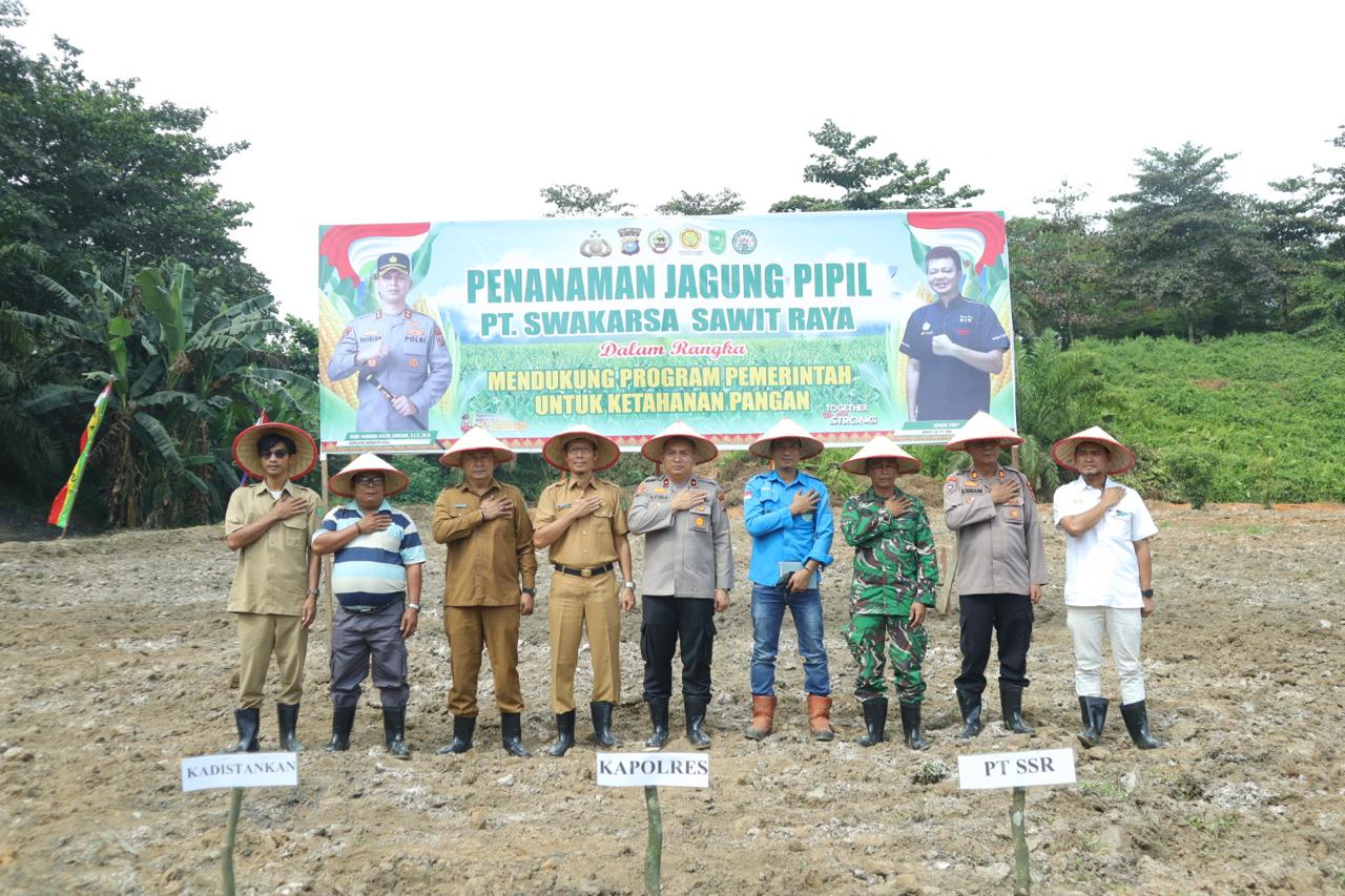 Bersama Polres Inhu, PT. SSR Manfaatkan Lahan Kosong di Area Pabrik Jadi Ladang Jagung Pipil