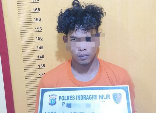 Polsek Tempuling, Inhil Tangkap Maling di Kebun Sawit