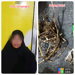 Pelaku Pembakaran Hutan atau Lahan berhasil dibekuk Unit Reskrim Polsek Dumai Barat