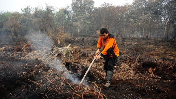 Polsek Tapung Amankan Pelaku Pembakaran Hutan dan Lahan 